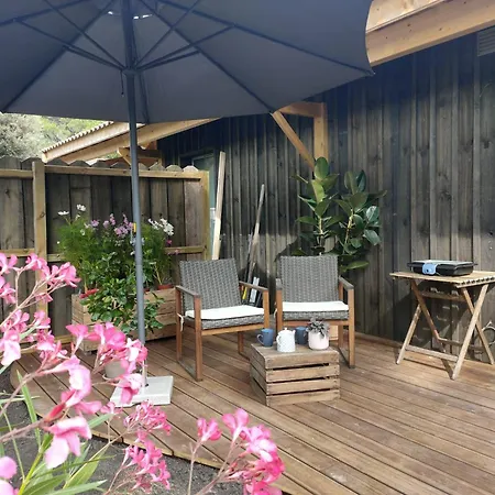 Le Petit Cocon Du Apartment