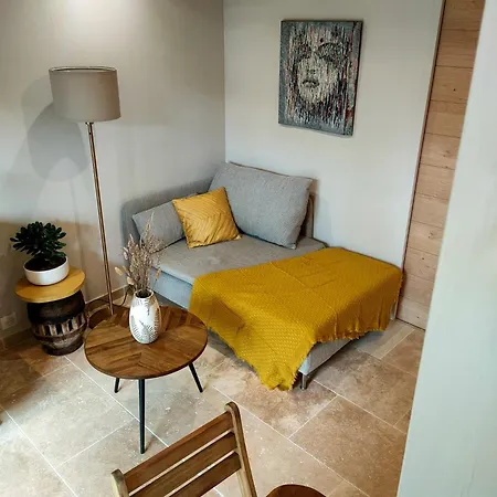 Le Petit Cocon Du Apartman Lacanau